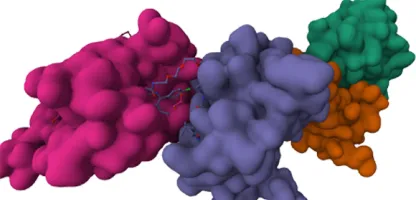 Large molecules in bright colors