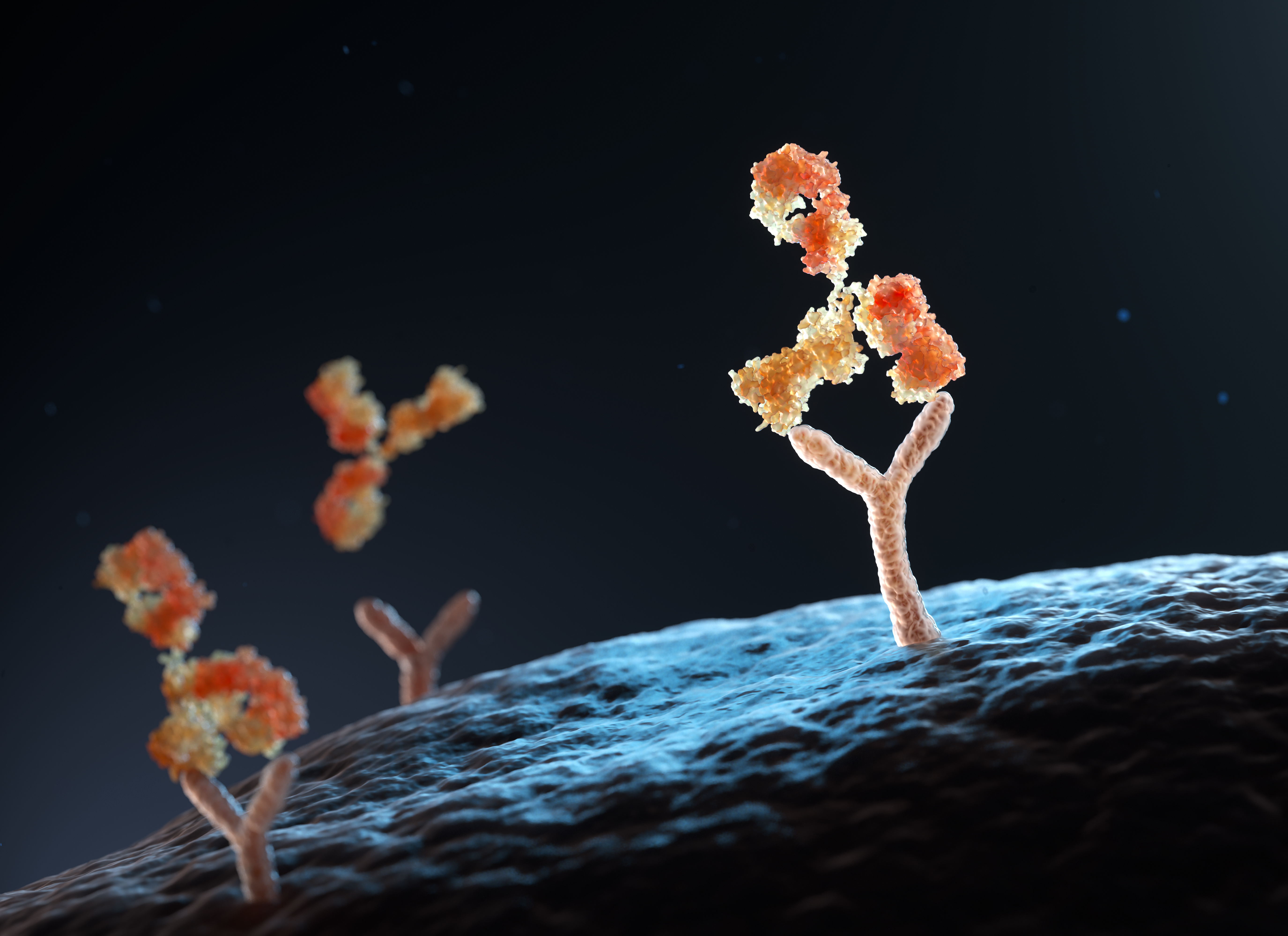 antibodies on the moon- black background, tree like orange Y antibodies