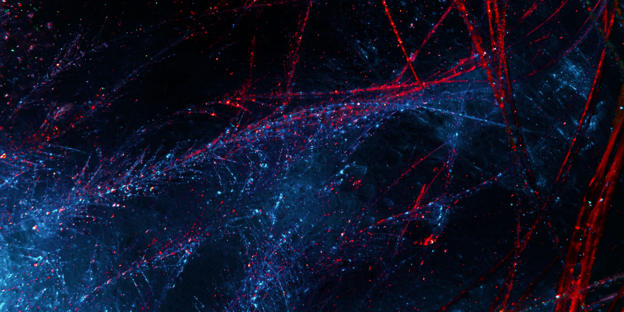 eli lilly GxP SNB case study thumbnail image