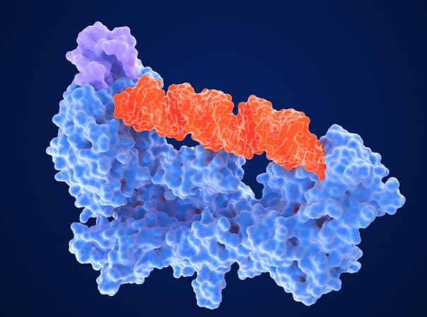 RNA Article Thumbnail
