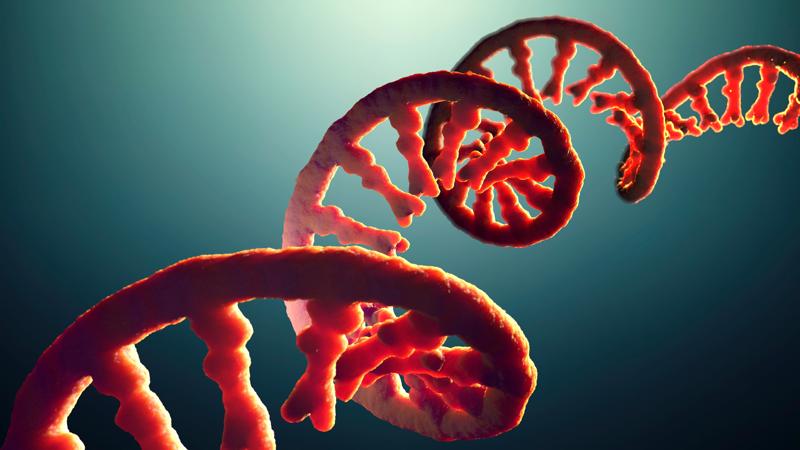 RNA Drug Discovery card image