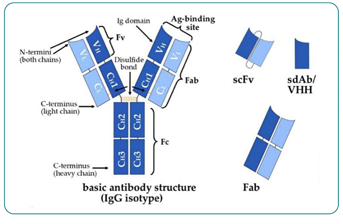 interoperability for multidisciplinary collaboration