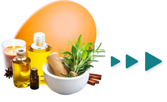 Food Science Interactive Demo Playlist