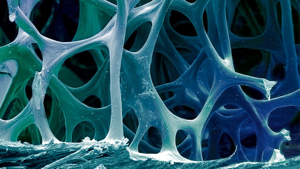 New Modalities New Tools image for drug drug discovery lp