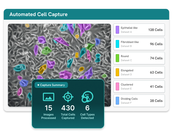 Phenologic.AI Cell Imaging