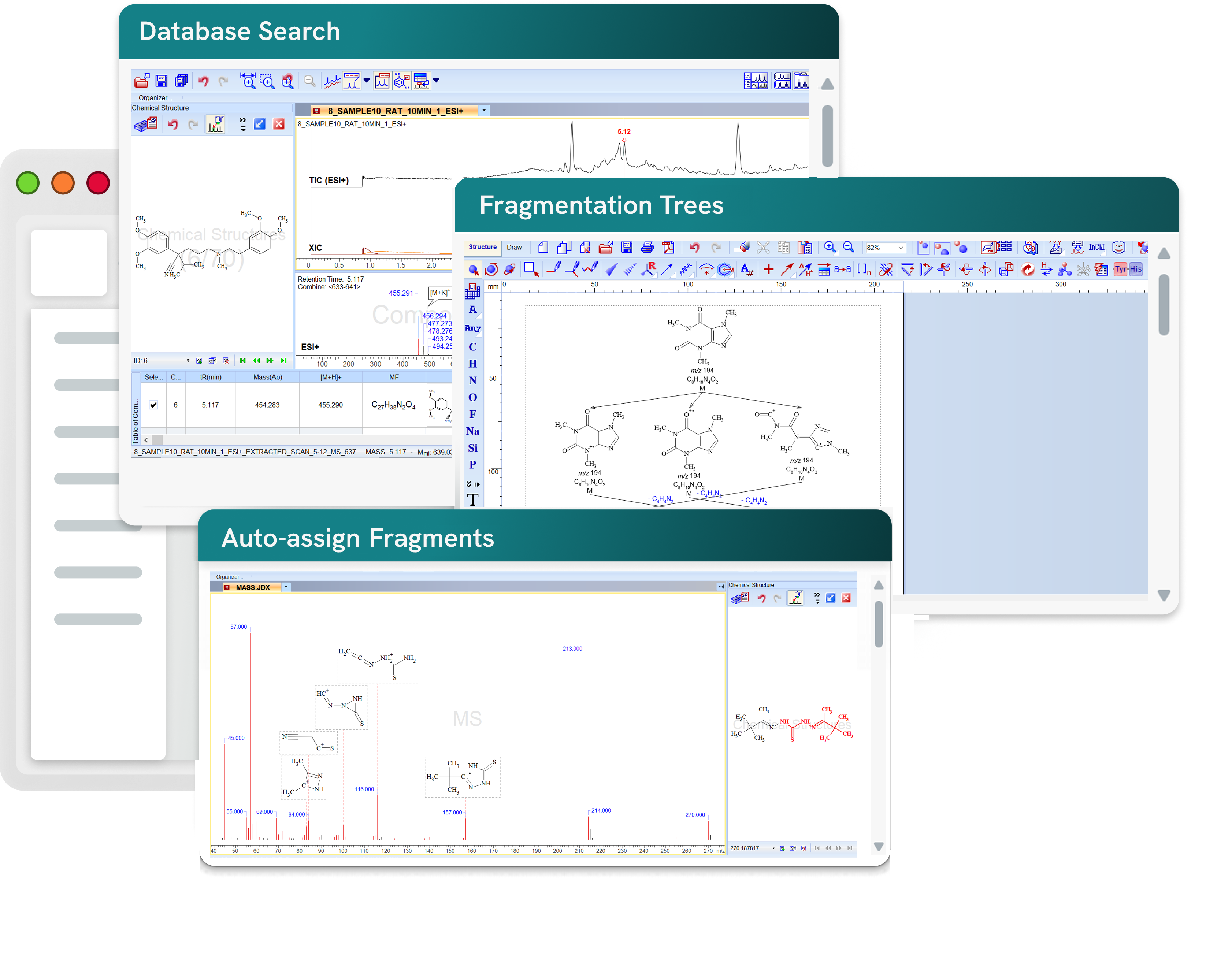 MS Workbook Suite