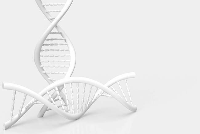 Biological Data Processing Demonstration 