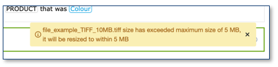 file size error sample.
