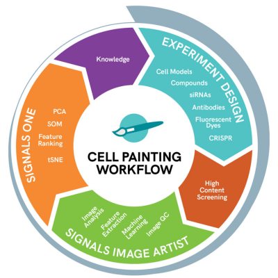 Cell Painting Workflow infographic 400 x 400