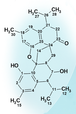 Structure Elucidator Suite