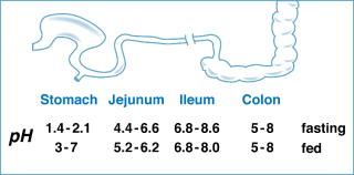 Changing pH environment in the GI tract.