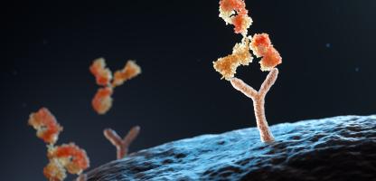 antibodies on the moon- black background, tree like orange Y antibodies