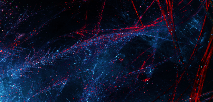 eli lilly GxP SNB case study thumbnail image