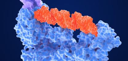 RNA Article Thumbnail