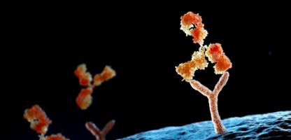 The Evolution of Antibody Drug Discovery
