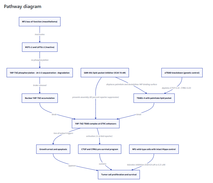 Image 59 from What's New 26.7_finalupdatedv2.docx