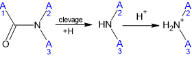 Image 3 from WN Structure Elucidator Suite v2026.docx